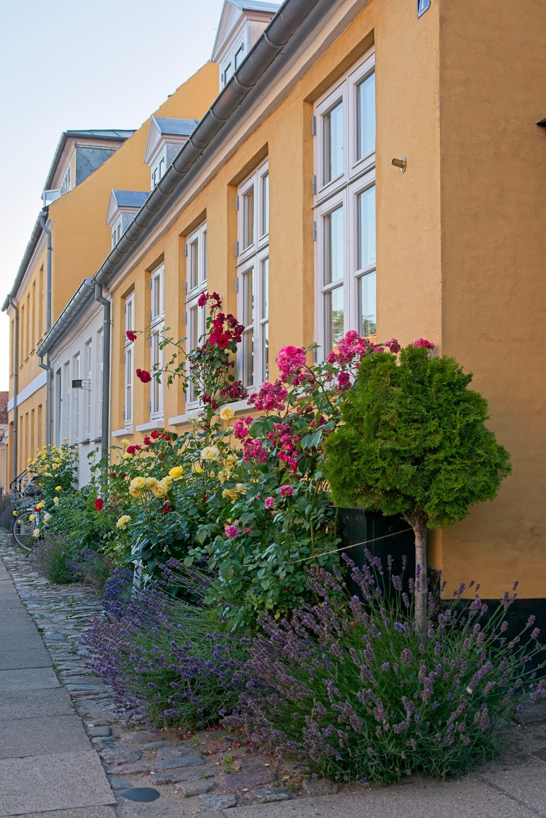 documentary photographer in danish village