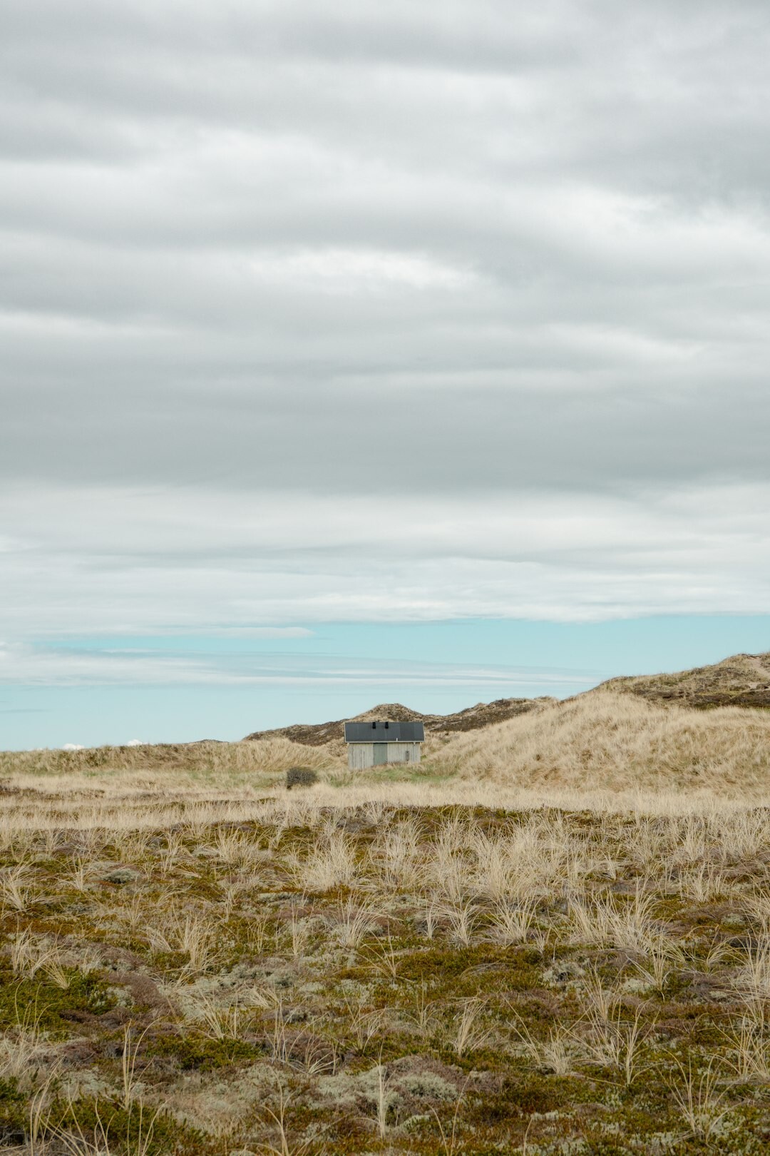 young man in rural denmark