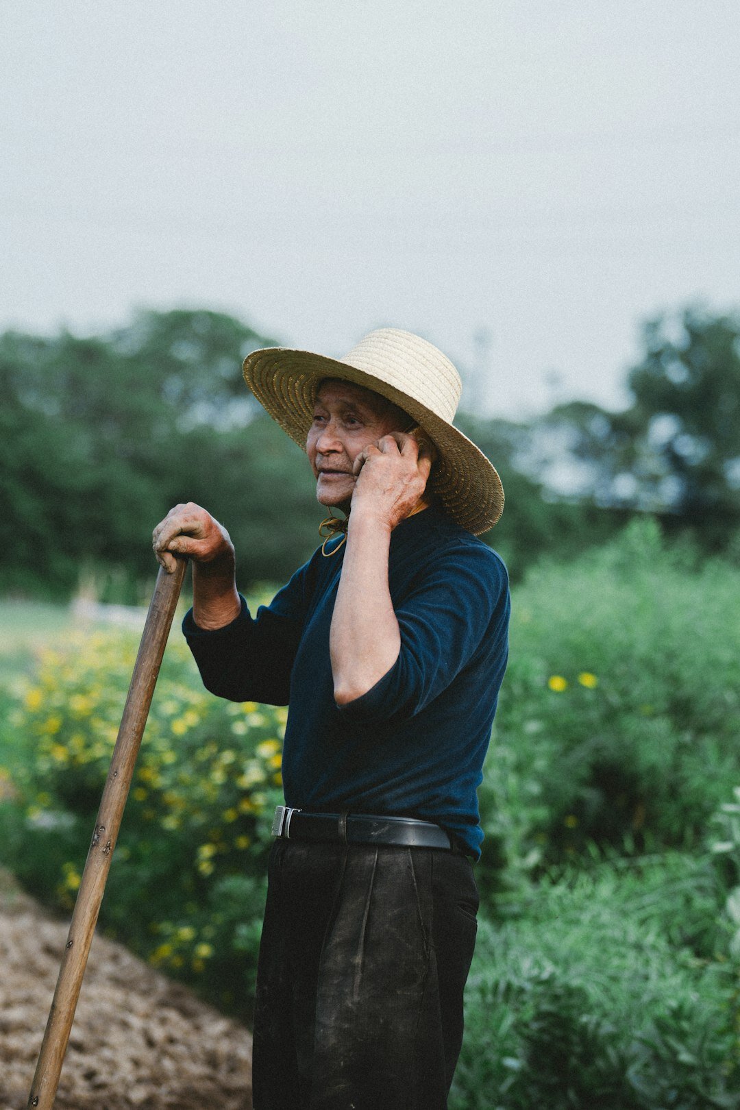 Danish farmer standing in a field at sunset